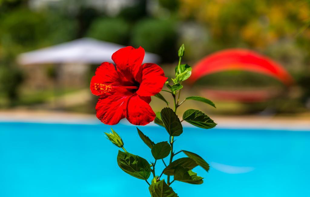 Marmaris Holiday Villas Extérieur photo
